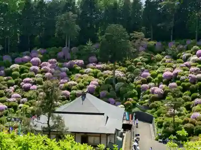 塩船観音寺(東京都)