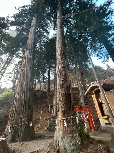 金櫻神社(山梨県)