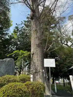 深見神社(神奈川県)