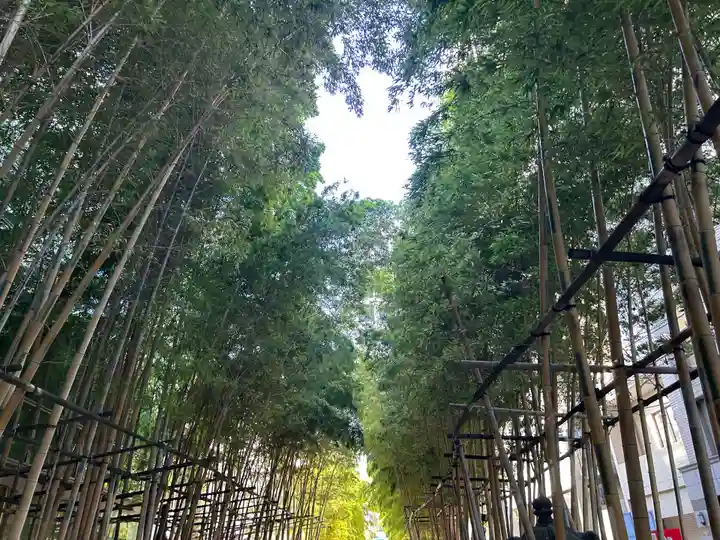 梅窓院(東京都)