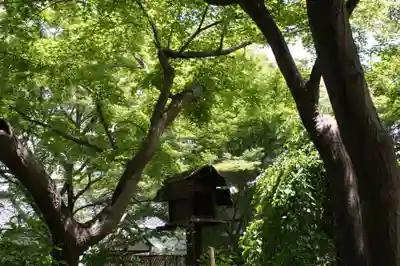 梨木神社(京都府)