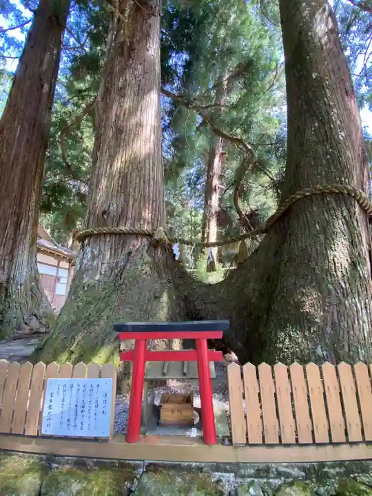 室生龍穴神社(奈良県)