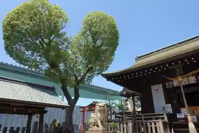 南宮宇佐八幡神社（脇浜神社）のその他建物