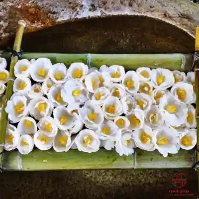 立志神社(滋賀県)