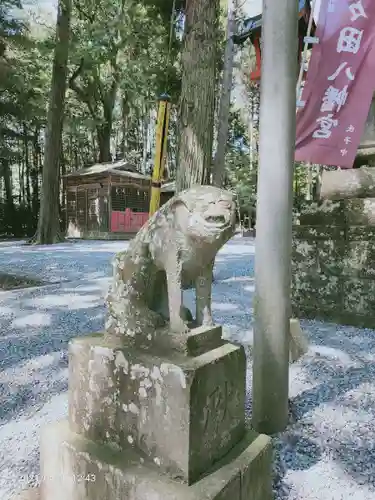 間々田八幡宮の狛犬