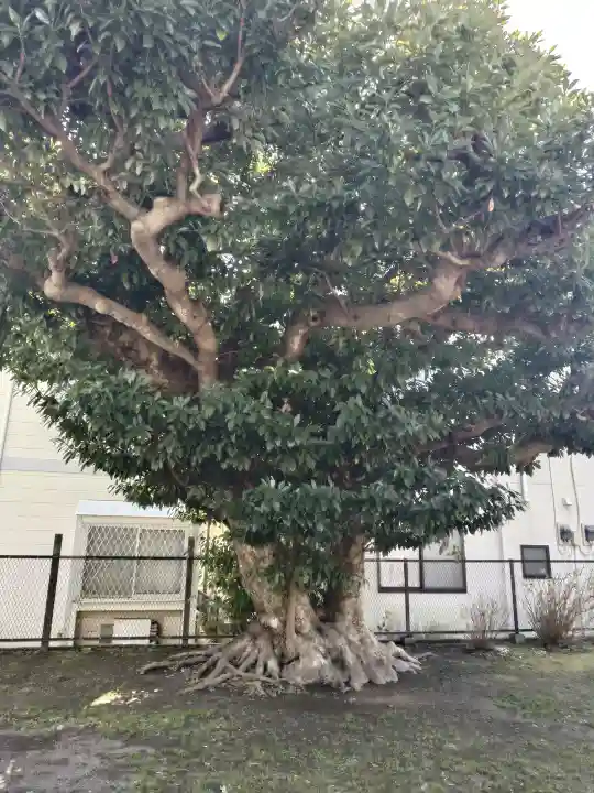 巽神社の{uncategorized: "未分類", other: "その他", undefined: "問題あり", building: "その他建物", grave: "お墓", sacred_gate: "鳥居", guardian: "狛犬", statue: "像", buddha: "仏像", history: "歴史", nature: "自然", garden: "庭園", animal: "動物", pagoda: "塔", temizu: "手水舎", mountain_gate: "山門・神門", sanctuary: "本殿・本堂", subordinate: "末社・摂社", art: "芸術", scenery: "景色", jizo: "地蔵", ema: "絵馬", goshuin: "御朱印", omikuji: "おみくじ", items: "授与品その他", amulet: "お守り", goshuincho: "御朱印帳", eats: "食事", festival: "お祭り", votive_dance: "神楽", shichigosan: "七五三参", wedding: "結婚式", experience: "体験その他", initially: "初詣", around: "周辺", anti_infection: "感染症対策"}
