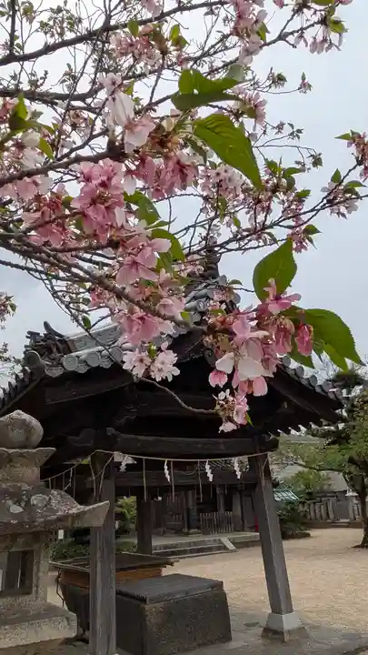 誉田八幡宮(大阪府)