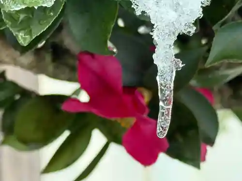 西方山極楽寺(岐阜県)