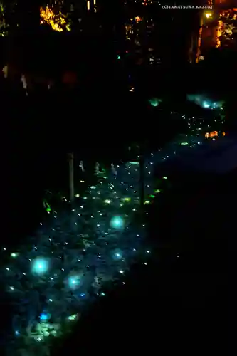 川越氷川神社(埼玉県)