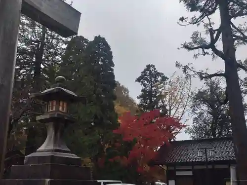 射水神社の自然
