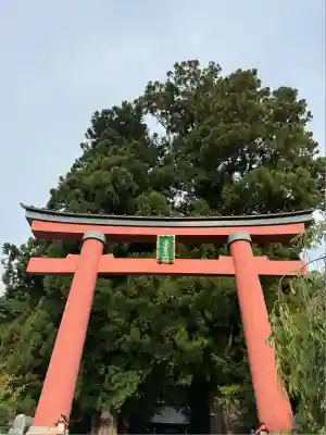 河口浅間神社(山梨県)