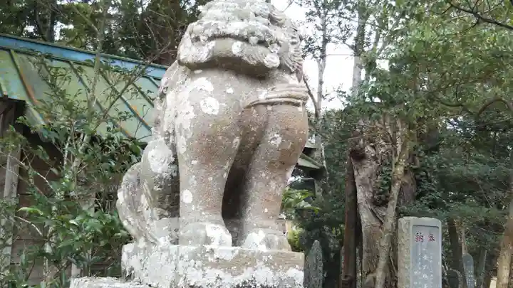 橘樹神社の狛犬