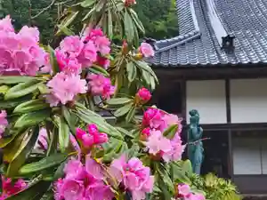 圓光寺【円光寺】(兵庫県)(2025年05月13日(火) 21時09分22秒投稿)
