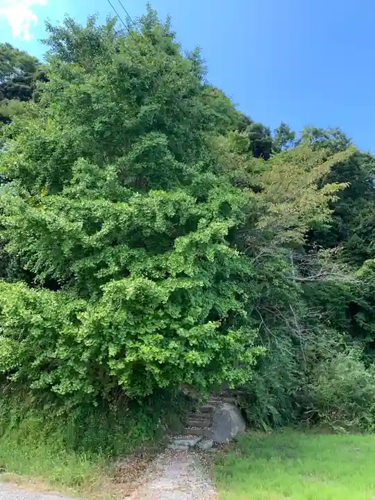 子安神社(千葉県)