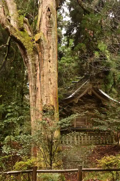 草部吉見神社(熊本県)