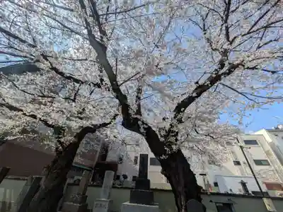 日蓮宗　浄運寺(東京都)