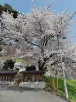 嶽林寺(群馬県)