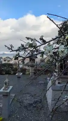 最乗院(滋賀県)