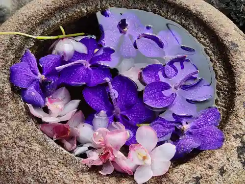 尼崎えびす神社の手水舎