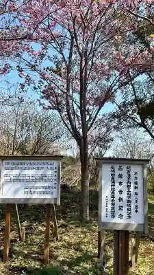 石崎地主海神社(北海道)
