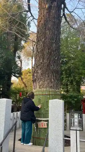 田無神社(東京都)