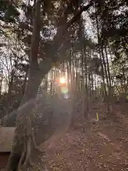 若宮八幡社(東京都)