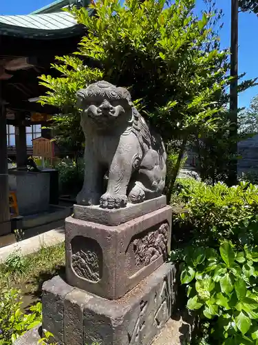 鷺宮八幡神社の狛犬