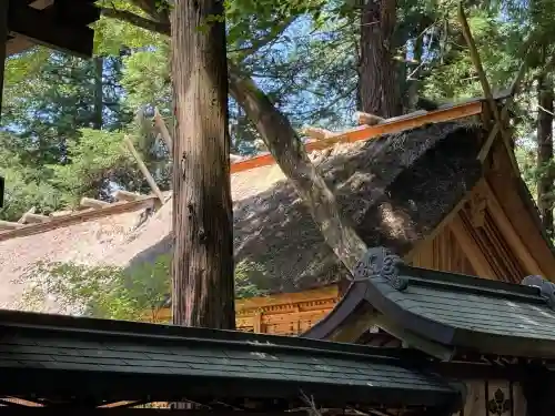 諏訪大社下社春宮(長野県)