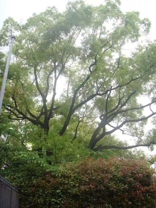 堀越神社の自然