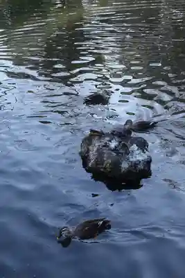 三嶋大社(静岡県)