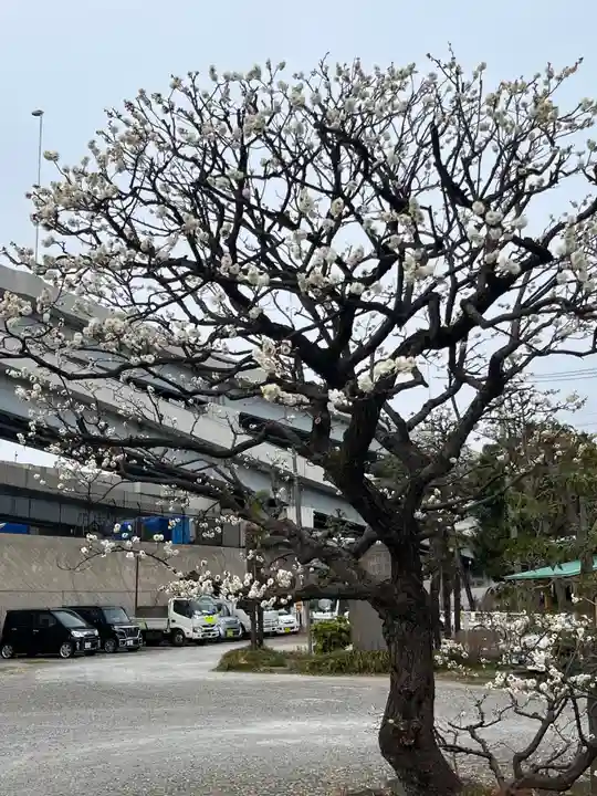 隅田川神社(東京都)