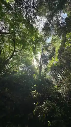 吉高菊一稲荷神社(東京都)