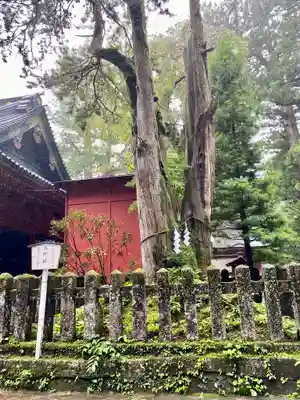 日光二荒山神社(栃木県)