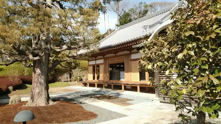 雲頂庵の本殿・本堂