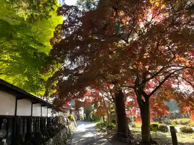 長圓寺(長野県)