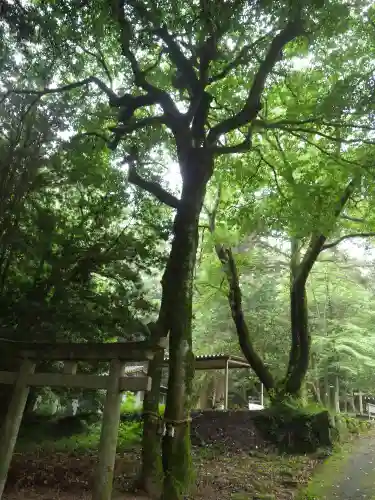 熊野神社(山口県)