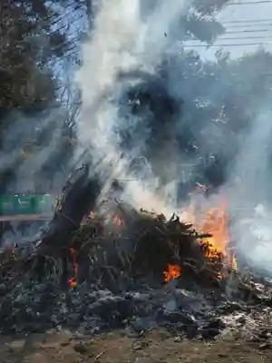 青柳稲荷神社のお祭り