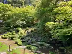 宗鏡寺の庭園