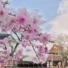 尾張大國霊神社（国府宮）の自然