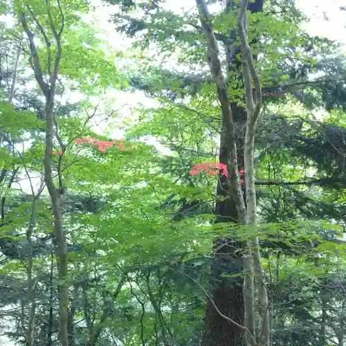 日蓮宗 総本山 塔頭 定林坊(じょうりんぼう)(山梨県)