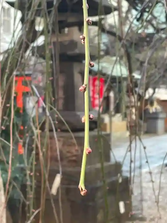平河天満宮の{uncategorized: "未分類", other: "その他", undefined: "問題あり", building: "その他建物", grave: "お墓", sacred_gate: "鳥居", guardian: "狛犬", statue: "像", buddha: "仏像", history: "歴史", nature: "自然", garden: "庭園", animal: "動物", pagoda: "塔", temizu: "手水舎", mountain_gate: "山門・神門", sanctuary: "本殿・本堂", subordinate: "末社・摂社", art: "芸術", scenery: "景色", jizo: "地蔵", ema: "絵馬", goshuin: "御朱印", omikuji: "おみくじ", items: "授与品その他", amulet: "お守り", goshuincho: "御朱印帳", eats: "食事", festival: "お祭り", votive_dance: "神楽", shichigosan: "七五三参", wedding: "結婚式", experience: "体験その他", initially: "初詣", around: "周辺", anti_infection: "感染症対策"}