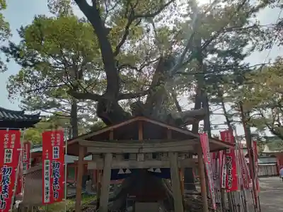 楠珺社（住吉大社末社）(大阪府)