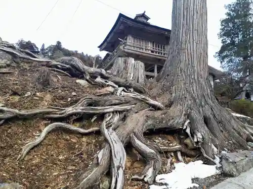 正法寺の建物その他