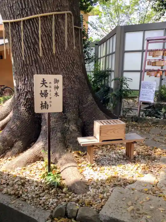 鳩ヶ谷氷川神社の自然
