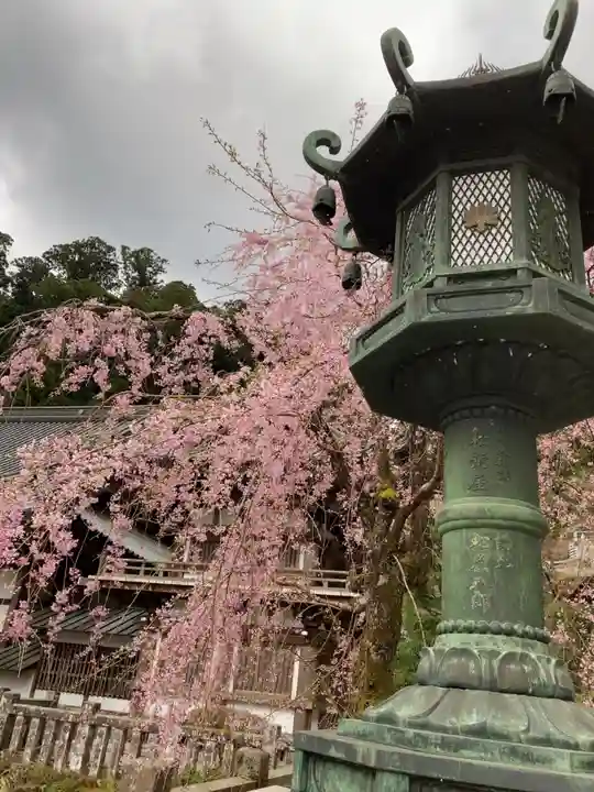 最乗寺(道了尊)のその他建物