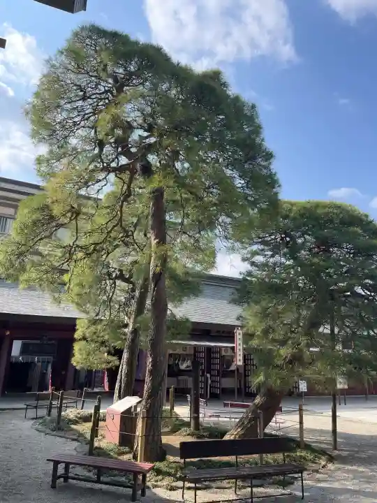 笠間稲荷神社の{uncategorized: "未分類", other: "その他", undefined: "問題あり", building: "その他建物", grave: "お墓", sacred_gate: "鳥居", guardian: "狛犬", statue: "像", buddha: "仏像", history: "歴史", nature: "自然", garden: "庭園", animal: "動物", pagoda: "塔", temizu: "手水舎", mountain_gate: "山門・神門", sanctuary: "本殿・本堂", subordinate: "末社・摂社", art: "芸術", scenery: "景色", jizo: "地蔵", ema: "絵馬", goshuin: "御朱印", omikuji: "おみくじ", items: "授与品その他", amulet: "お守り", goshuincho: "御朱印帳", eats: "食事", festival: "お祭り", votive_dance: "神楽", shichigosan: "七五三参", wedding: "結婚式", experience: "体験その他", initially: "初詣", around: "周辺", anti_infection: "感染症対策"}