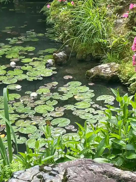 禅林寺(永観堂)(京都府)