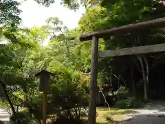 出雲大神宮の鳥居