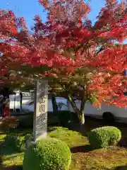 圓光寺(京都府)