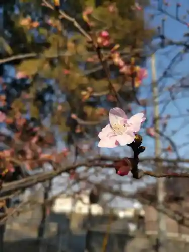 長久寺の庭園